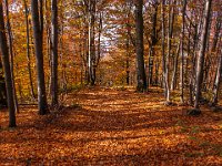 Beskid Niski